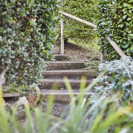 公寓 South Bay Garden *